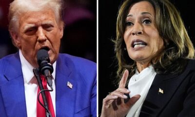 Two closing arguments show the stark choice between Trump and Harris