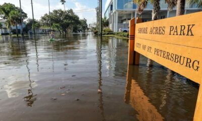 Helene survivors face new dangers from contaminated water, mold