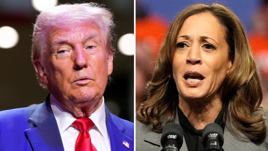 Harris edges Trump by 2 points in new national poll