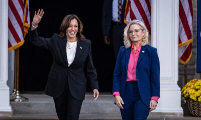 Liz Cheney goes to bat for Kamala Harris