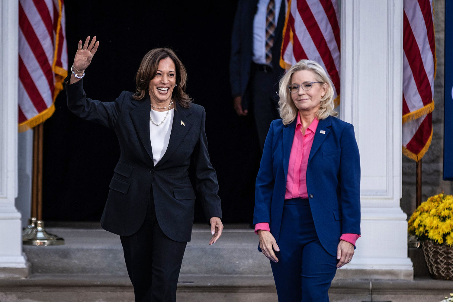 Liz Cheney goes to bat for Kamala Harris