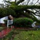 FEMA administrator surveys Florida damage from Hurricane Helene
