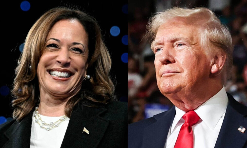 How does each presidential candidate win? Harvard’s Director of Polling breaks it down.