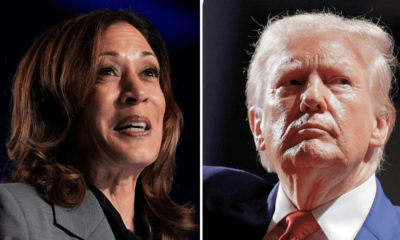 Harris, Trump separated by just 1 point in national survey