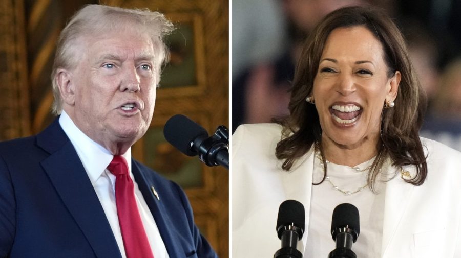 Harris leads Trump by 5 points in Pennsylvania: Poll