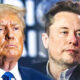 Elon Musk says he ‘can’t wait’ to work in the Trump White House