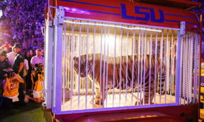 LSU brought a live tiger to its football game. Guess what happened next.