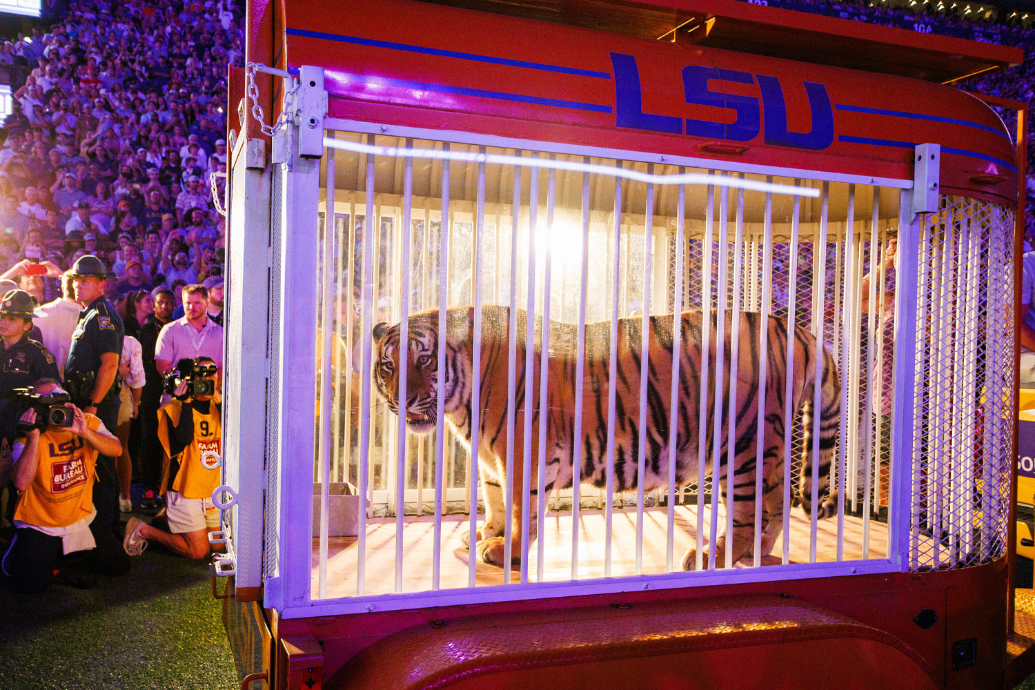 LSU brought a live tiger to its football game. Guess what happened next.