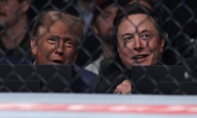 How well does Donald Trump understand Elon Musk?