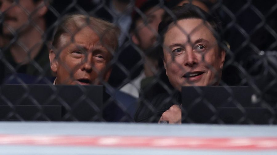 How well does Donald Trump understand Elon Musk?