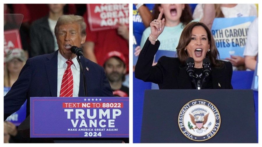 Harris leads Trump by 3 in Michigan, sees jump in Black support: Poll