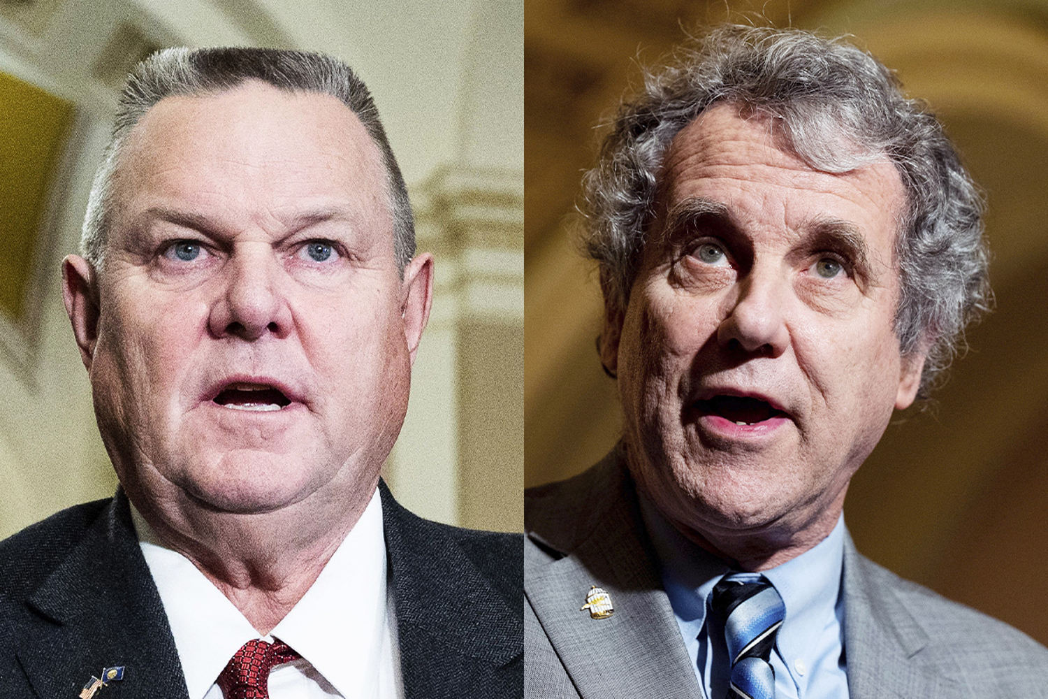 Is all hope lost for Senate Democrats? Sherrod Brown doesn’t think so.