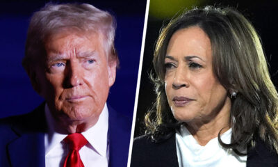 A tale of two closing messages: Harris offers patriotism, rejects Trump’s ‘chaos’