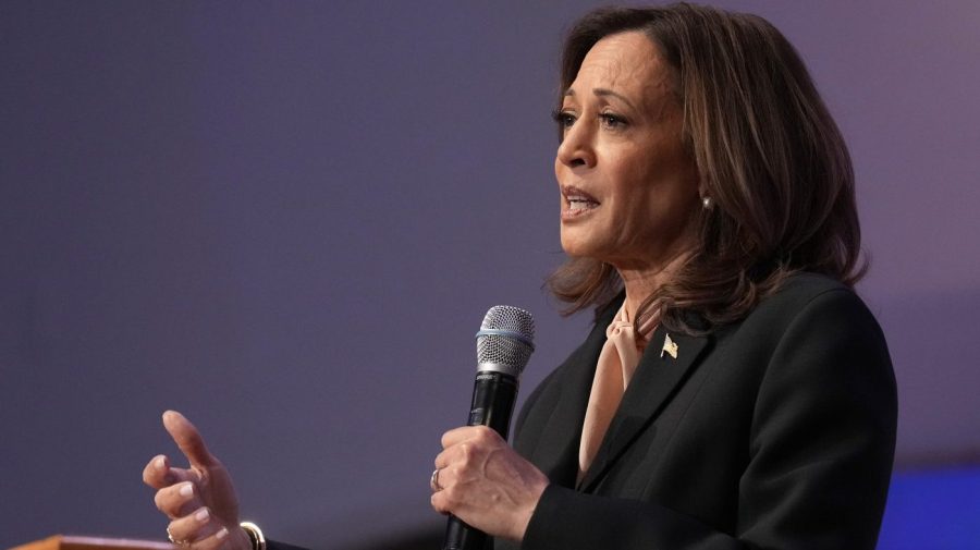 Largest local Texas Teamsters union endorses Harris before her rally