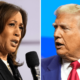 Harris, Trump deadlocked in seven key swing states: Polling