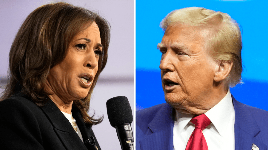 Harris, Trump deadlocked in seven key swing states: Polling