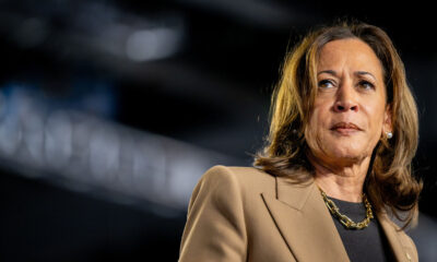 Democratic panic runs much deeper than Kamala Harris’ polls