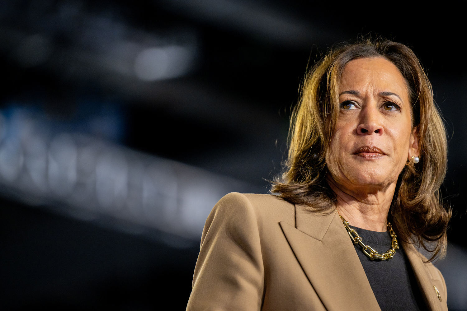 Democratic panic runs much deeper than Kamala Harris’ polls