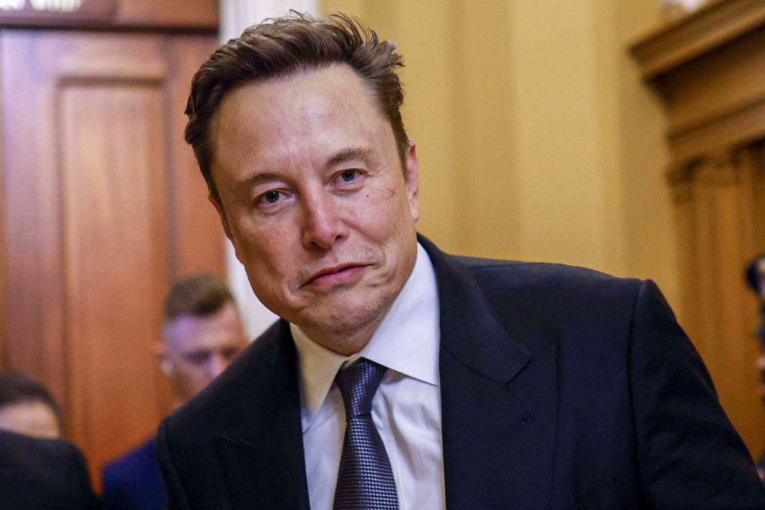 Some Dems are excited about Musk and Ramaswamy’s DOGE. Their optimism feels naive.