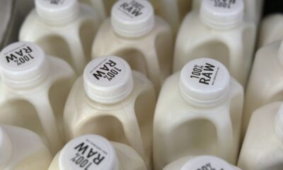 USDA requires bulk testing of raw milk supply for bird flu virus