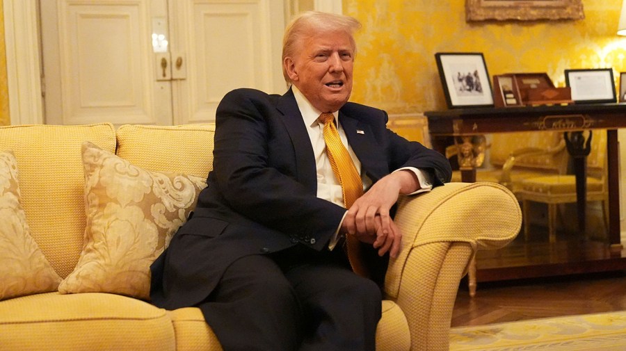 Trump leans on czars for key policy areas