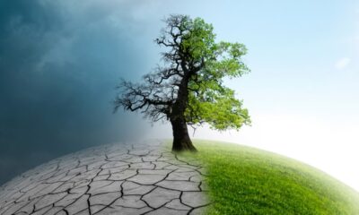Climate policy is about to take a back seat in DC —here’s what we can do about it