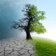 Climate policy is about to take a back seat in DC —here’s what we can do about it