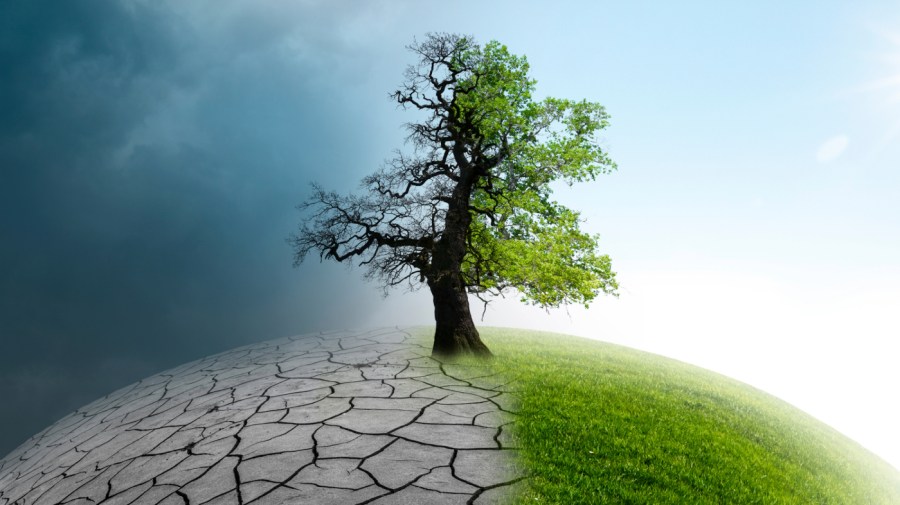 Climate policy is about to take a back seat in DC —here’s what we can do about it