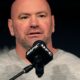 Meta’s new board includes UFC boss Dana White, a familiar figure in Trump’s orbit