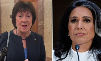 ‘Serial disappointer’ Sen. Collins indicates she’ll vote for Tulsi Gabbard