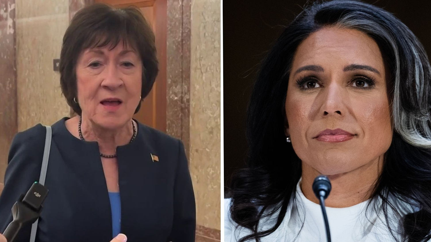 ‘Serial disappointer’ Sen. Collins indicates she’ll vote for Tulsi Gabbard