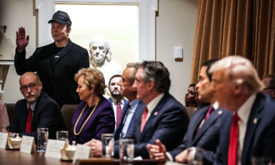 Why did Elon Musk take center stage at a White House Cabinet meeting?