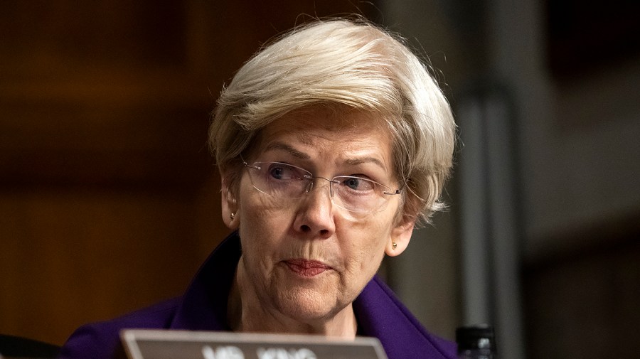 Warren to Trump: Fire Musk