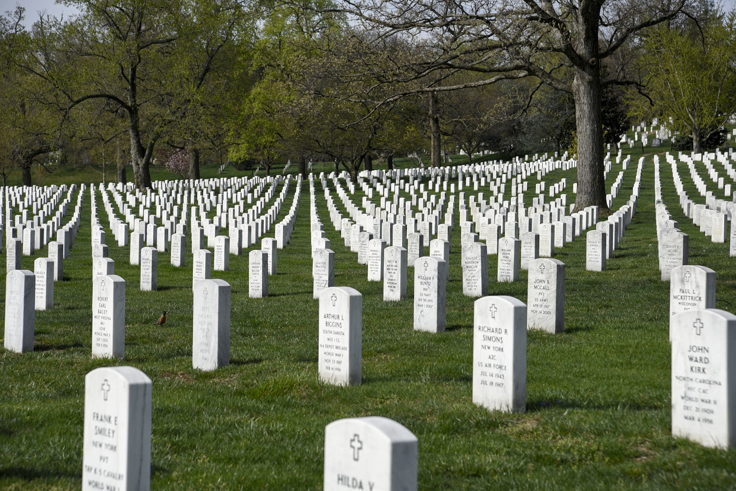 Trump’s anti-diversity push comes for Arlington Cemetery’s rich, diverse history