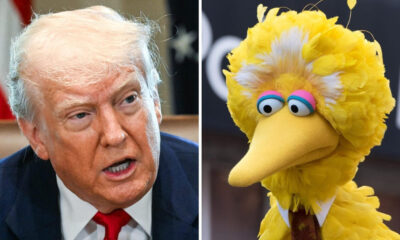 Trump is ‘attacking Big Bird’ to distract from polling numbers and economic concerns: Analyst