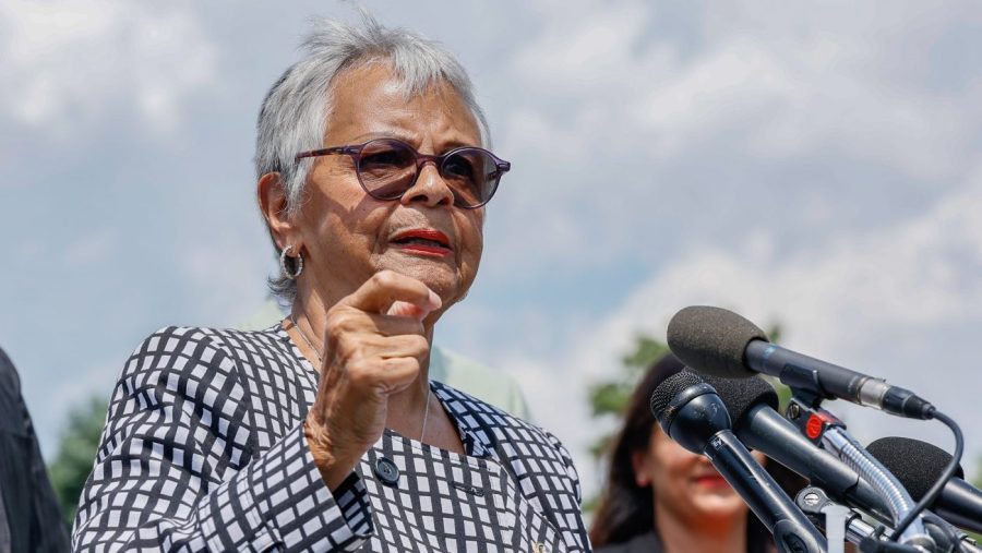 DHS spox suggests House Democrats could face arrest over ICE facility protest