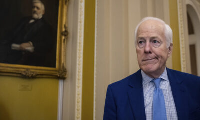 ‘Trump movement’ turns on Cornyn, poll finds
