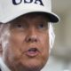 Trump hails court ruling allowing White House to restrict AP access