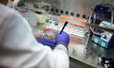 This federal judge has zero patience for the NIH director’s dangerous ignorance
