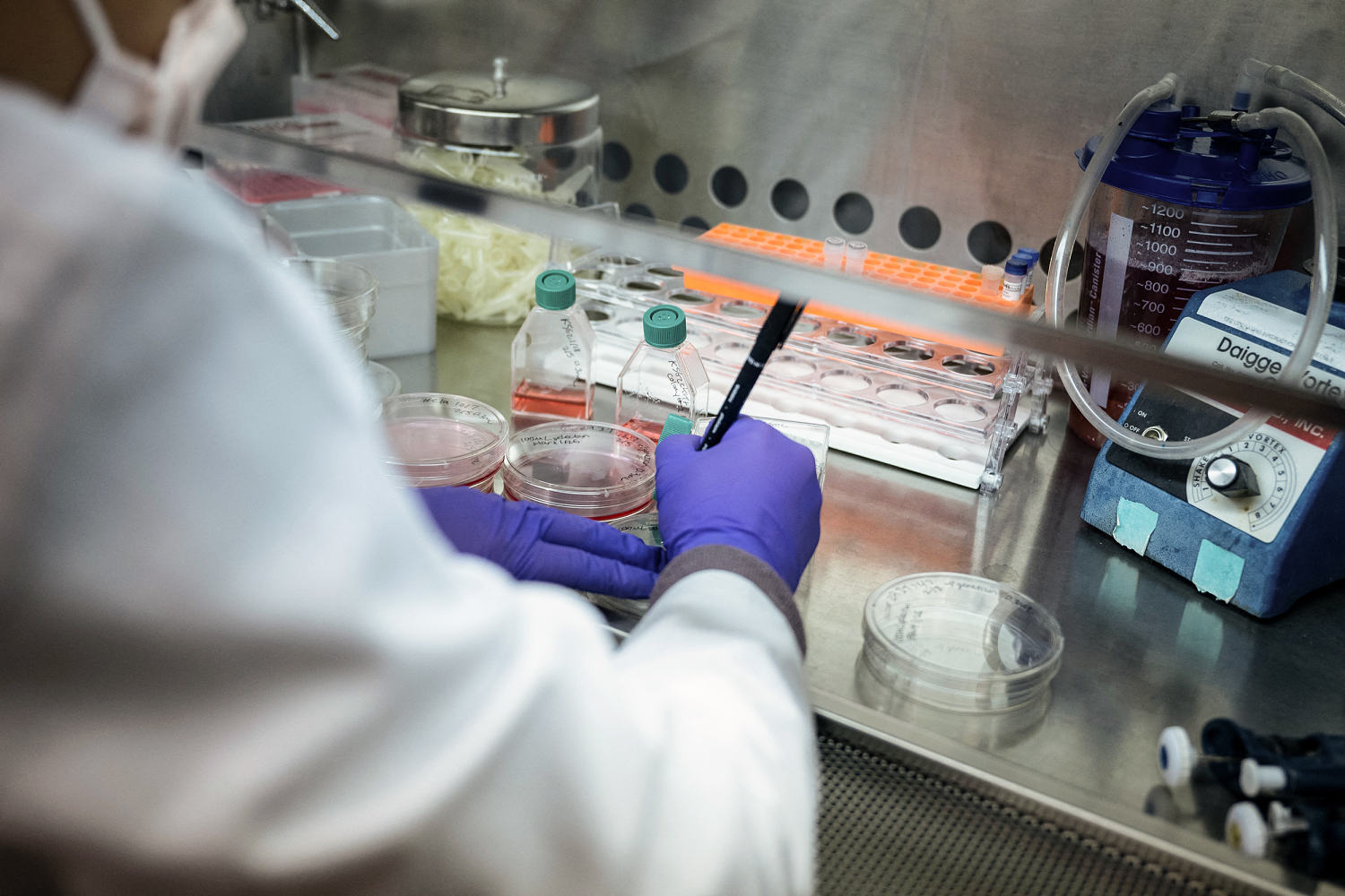 This federal judge has zero patience for the NIH director’s dangerous ignorance