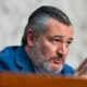 Cruz calls Trump, Musk rift ‘incredibly unfortunate’