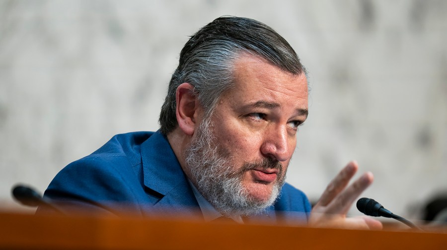 Cruz calls Trump, Musk rift ‘incredibly unfortunate’