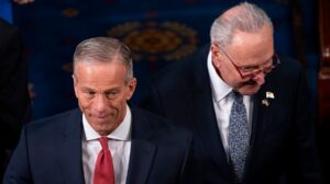 Republicans and Democrats buck party lines in marathon votes for Trump megabill
