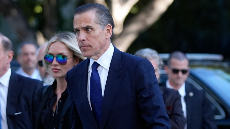 Hunter Biden says Democrats lost election because they weren’t loyal to his father