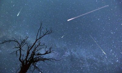 Perseid meteor shower set to begin: How to view