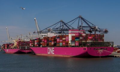 South African citrus growers face uncertainty amid proposed 30 percent US tariffs