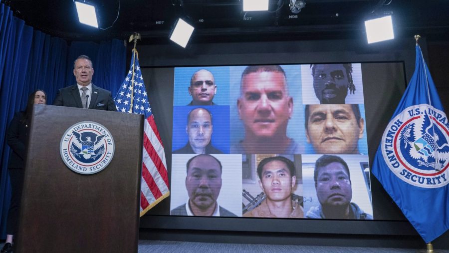 Acting ICE director fires back at Hunter Biden