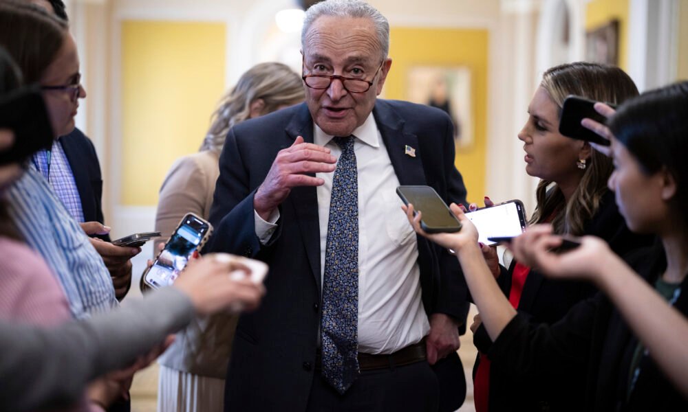Democrats’ fight-or-flight dilemma comes to a head in the Senate