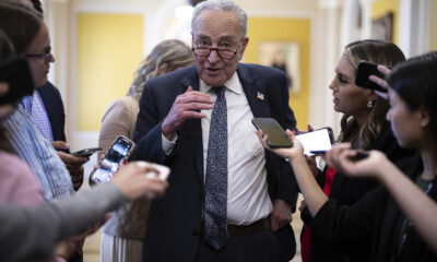 Democrats’ fight-or-flight dilemma comes to a head in the Senate
