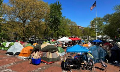 Performative virtue-signaling has become a threat to higher ed